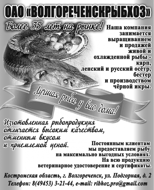 Волгореченский Рыбный Магазин Кострома