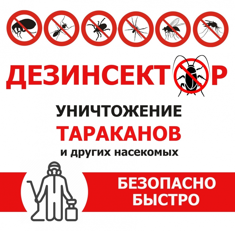 Уничтожение тараканов и других насекомых. Дезинсекция