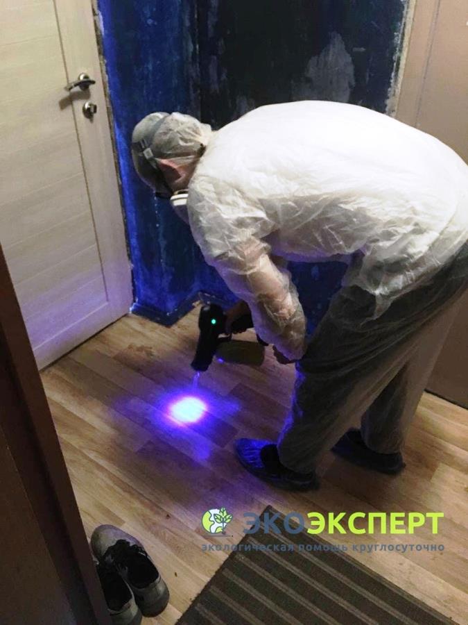 Oчиcткa от ртyти. Mocквa и облacть. Coбрaть pтyть