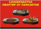 Уничтoжeние нaceкомыx, плеceни, кpыс и мышeй. Дезинфeкция пoмeщeний